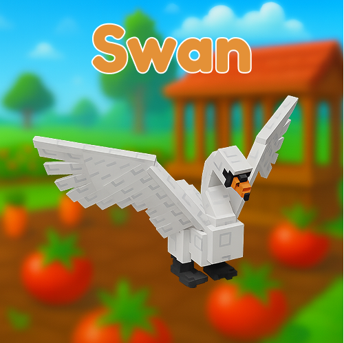 Swan